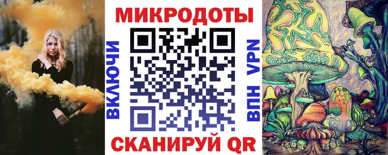 как найти закладки  Шацк  Галлюциногенные грибы Psilocybe 